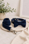 Classic Adjustable Pet Collar with Removable Bow Tie